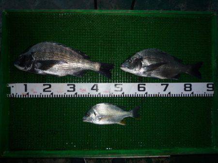 海山フィッシングセンター 釣果