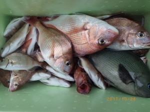 石川丸 釣果