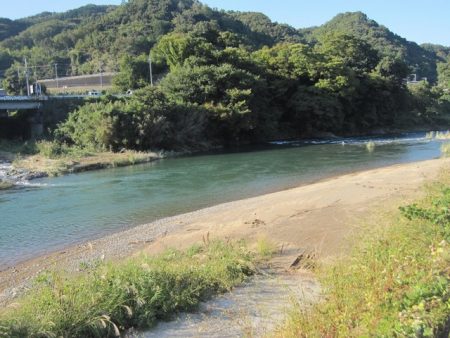 狩野川(狩野川漁業協同組合) 釣果