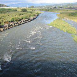 狩野川(狩野川漁業協同組合) 釣果