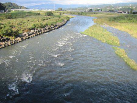 狩野川(狩野川漁業協同組合) 釣果