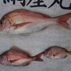 網屋丸 釣果
