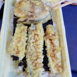 遊漁船 ニライカナイ 釣果