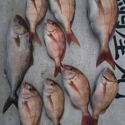 網屋丸 釣果
