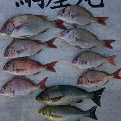 網屋丸 釣果