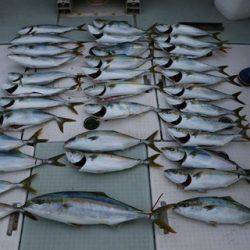 スカイマリン 釣果