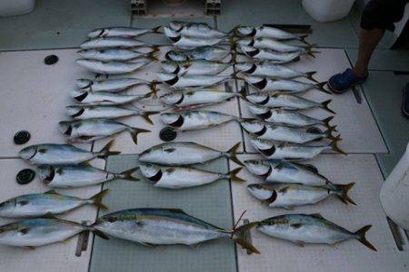 スカイマリン 釣果