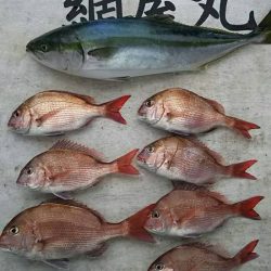 網屋丸 釣果