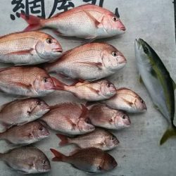 網屋丸 釣果