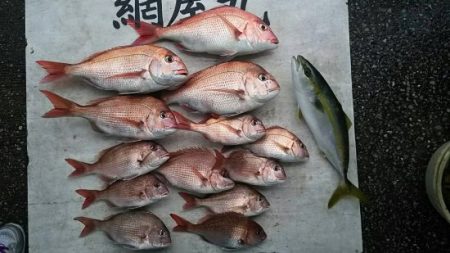 網屋丸 釣果