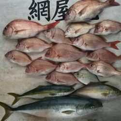 網屋丸 釣果