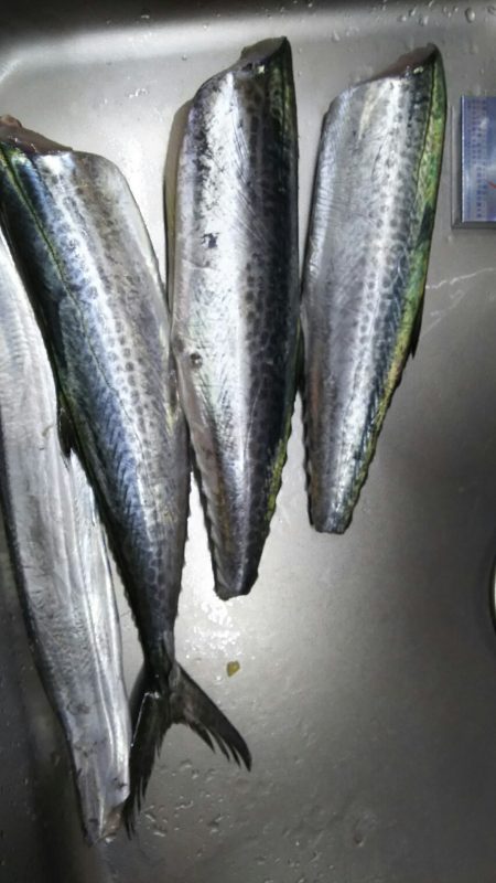 武庫一本日は５番が・・・