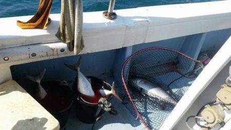 第五慶門丸 釣果