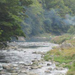 狩野川(狩野川漁業協同組合) 釣果