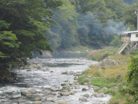 狩野川(狩野川漁業協同組合) 釣果