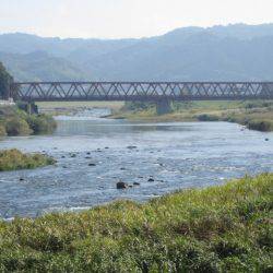 狩野川(狩野川漁業協同組合) 釣果