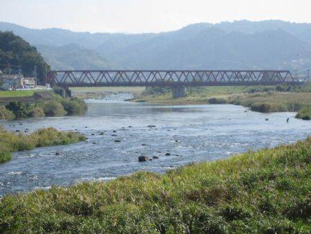 狩野川（狩野川漁業協同組合） 釣果