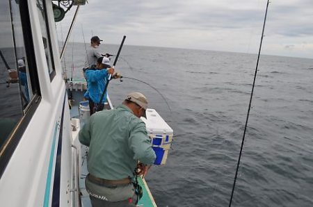 八海丸 釣果