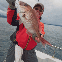 遊漁船ブルーウッズ 釣果