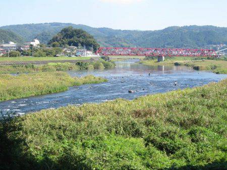 狩野川(狩野川漁業協同組合) 釣果