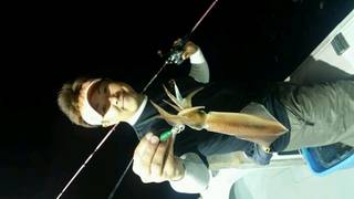 ディープ オーシャン 釣果