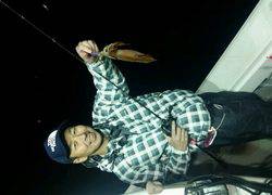 ディープ オーシャン 釣果