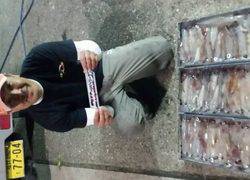 ディープ オーシャン 釣果