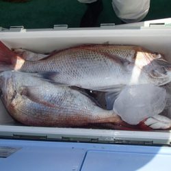 第二むつ漁丸 釣果