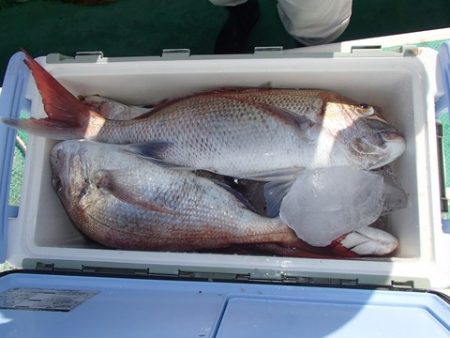 第二むつ漁丸 釣果