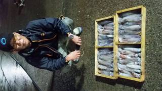 ディープ オーシャン 釣果