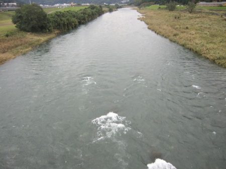 狩野川(狩野川漁業協同組合) 釣果