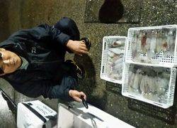 ディープ オーシャン 釣果