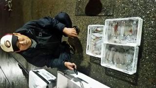 ディープ オーシャン 釣果