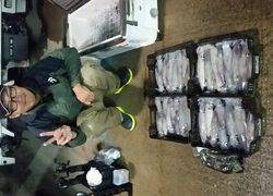 ディープ オーシャン 釣果