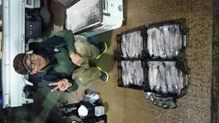 ディープ オーシャン 釣果