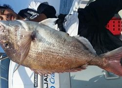 ディープ オーシャン 釣果