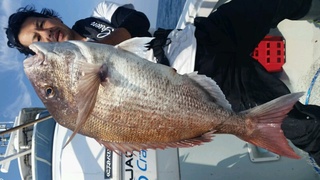 ディープ オーシャン 釣果