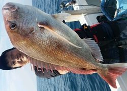 ディープ オーシャン 釣果