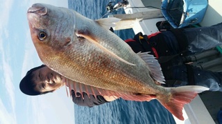 ディープ オーシャン 釣果