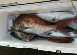 ディープ オーシャン 釣果