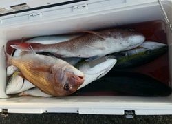 ディープ オーシャン 釣果