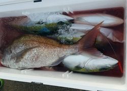 ディープ オーシャン 釣果