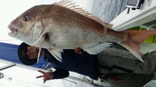 ディープ オーシャン 釣果