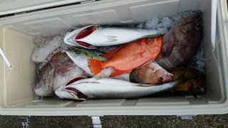 ディープ オーシャン 釣果