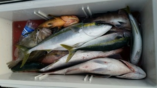 ディープ オーシャン 釣果