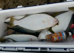 ディープ オーシャン 釣果