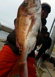 ディープ オーシャン 釣果