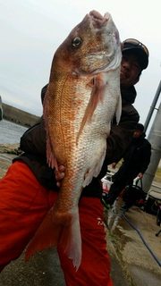 ディープ オーシャン 釣果