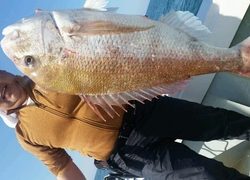 ディープ オーシャン 釣果