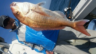 ディープ オーシャン 釣果